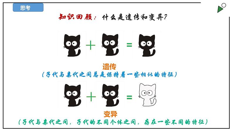 苏教版六上科学2.7《寻找遗传与变异的秘密》PPT课件03