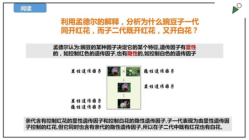 苏教版六上科学2.7《寻找遗传与变异的秘密》PPT课件08