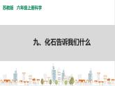苏教版六上科学3.9《化石告诉我们什么》PPT课件