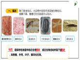 苏教版六上科学3.9《化石告诉我们什么》PPT课件
