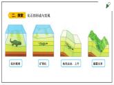 苏教版六上科学3.9《化石告诉我们什么》PPT课件