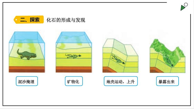 苏教版六上科学3.9《化石告诉我们什么》PPT课件第3页