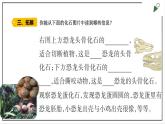 苏教版六上科学3.9《化石告诉我们什么》PPT课件