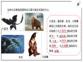 苏教版六上科学3.9《化石告诉我们什么》PPT课件
