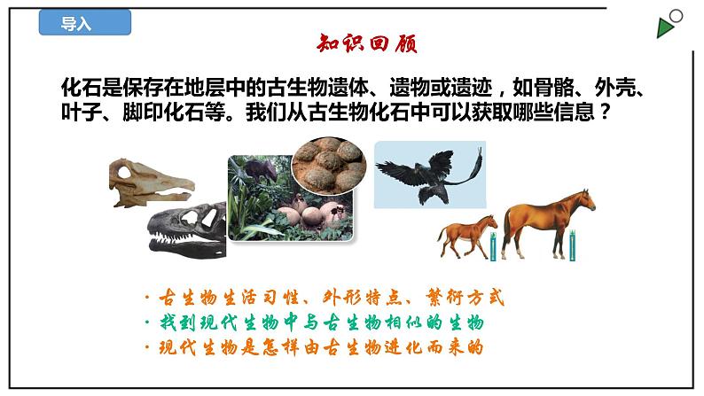 苏教版六上科学3.10《用化石作证据》PPT课件02