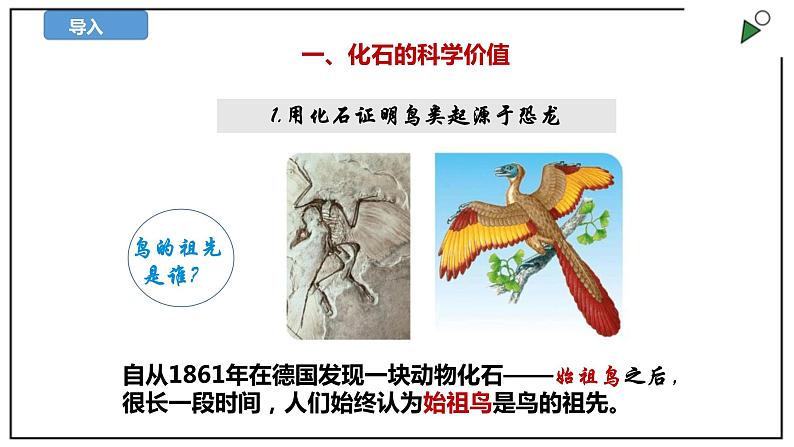 苏教版六上科学3.10《用化石作证据》PPT课件03