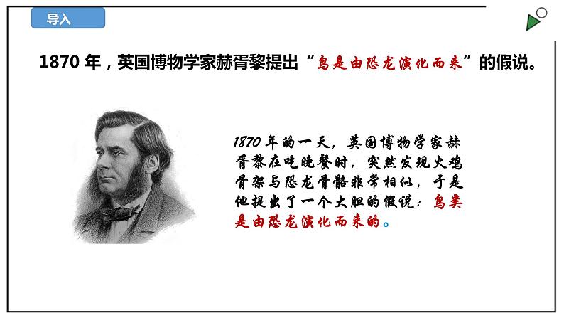 苏教版六上科学3.10《用化石作证据》PPT课件05