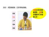 六上 1.5 观察更多的生物细胞 课件