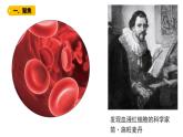 六上 1.5 观察更多的生物细胞 课件
