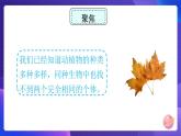 六下 相貌各异的我们 课件