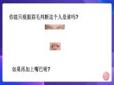 六下 相貌各异的我们 课件