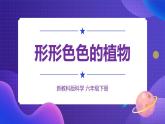 六下 形形色色的植物 课件