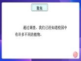 六下 形形色色的植物 课件