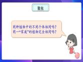 六下 形形色色的植物 课件