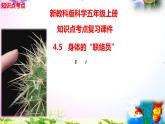 教科版科学五年级上册4.5身体的“联络员”-知识点复习课件+实验+典型试题(动画已调点击出现)