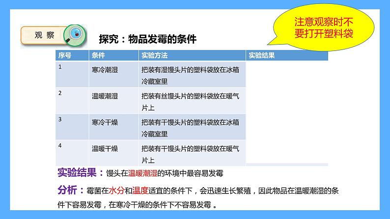 苏教版科学五年级下册 3 发霉与防霉 课件04