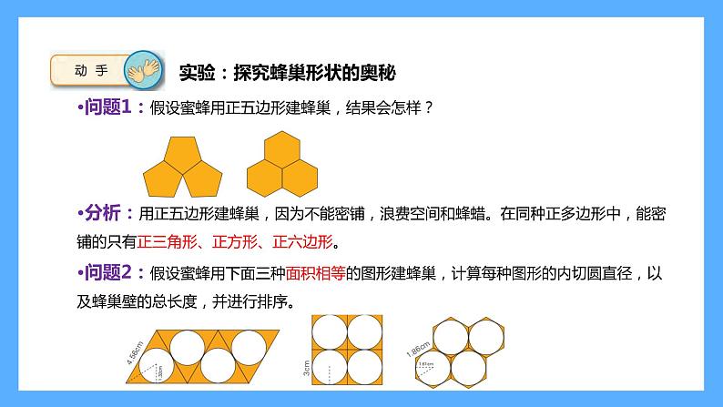 苏教版科学五年级下册 5生物的启示 课件04