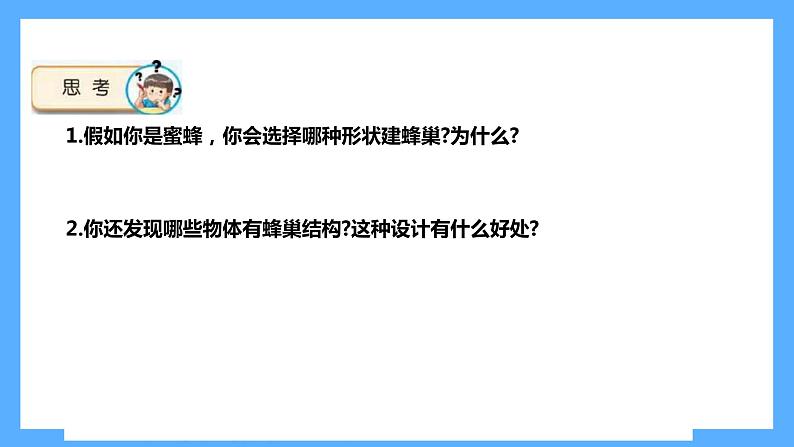 苏教版科学五年级下册 5生物的启示 课件06