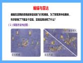 苏教版科学五年级下册 7 海豚与声呐 课件