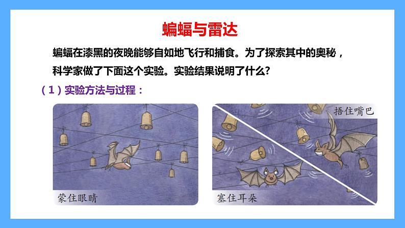 苏教版科学五年级下册 7 海豚与声呐 课件02