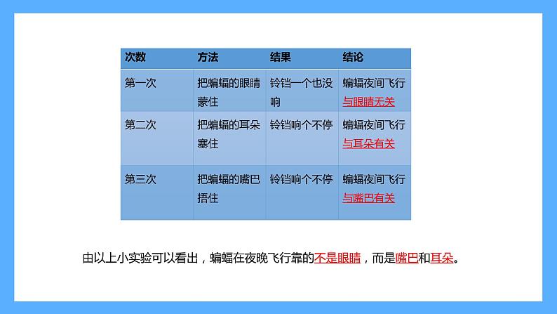 苏教版科学五年级下册 7 海豚与声呐 课件03