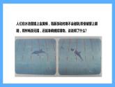 苏教版科学五年级下册 7 海豚与声呐 课件