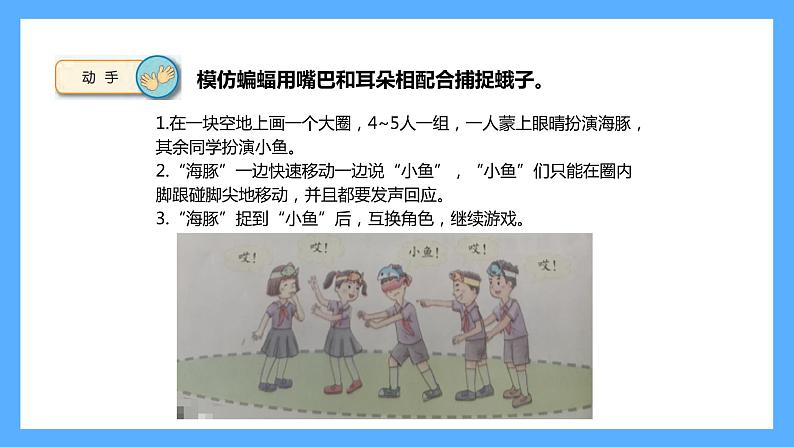 苏教版科学五年级下册 7 海豚与声呐 课件05