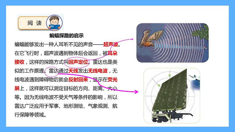 苏教版科学五年级下册 7 海豚与声呐 课件06