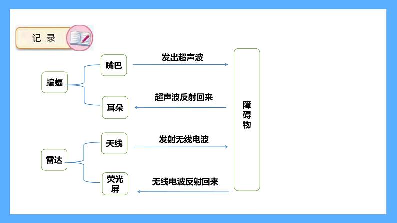 苏教版科学五年级下册 7 海豚与声呐 课件07