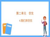 蘇教版科學(xué)五年級(jí)下冊(cè) 8我們來(lái)仿生 課件