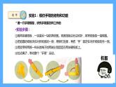 蘇教版科學(xué)五年級(jí)下冊(cè) 8我們來(lái)仿生 課件