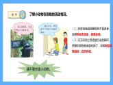 苏教版科学五年级下册 11.昼夜对动物的影响 课件