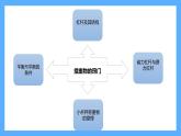 蘇教版科學(xué)五年級下冊 第四單元復(fù)習(xí) 課件