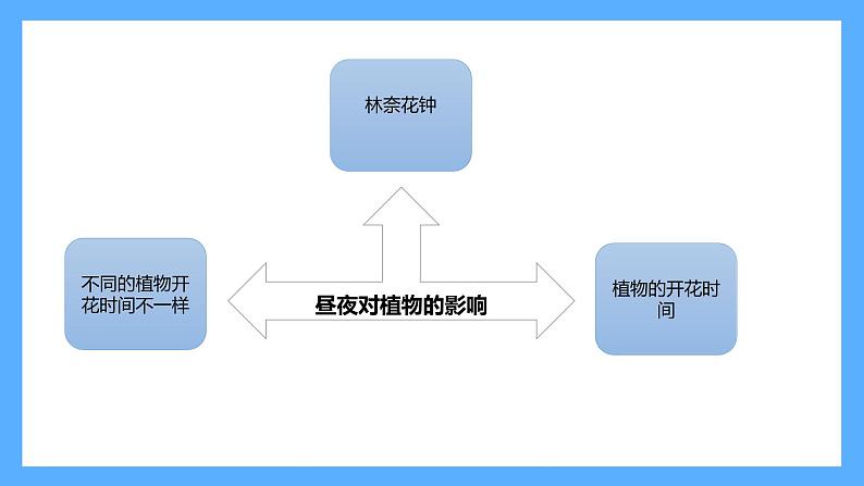 苏教版科学五年级下册 第三单元复习 课件05