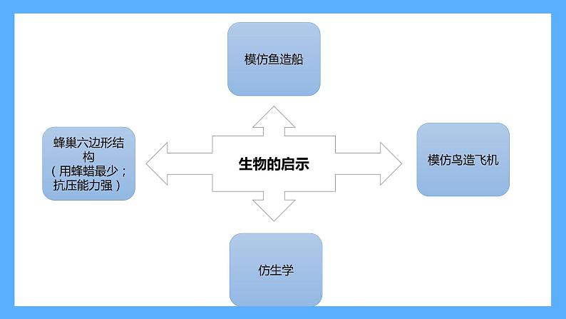 苏教版科学五年级下册 第二单元复习 课件03