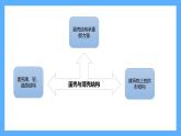 苏教版科学五年级下册 第二单元复习 课件