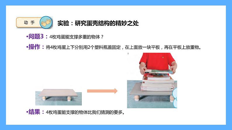 苏教版科学五年级下册 6 蛋壳与薄壳结构课件第4页