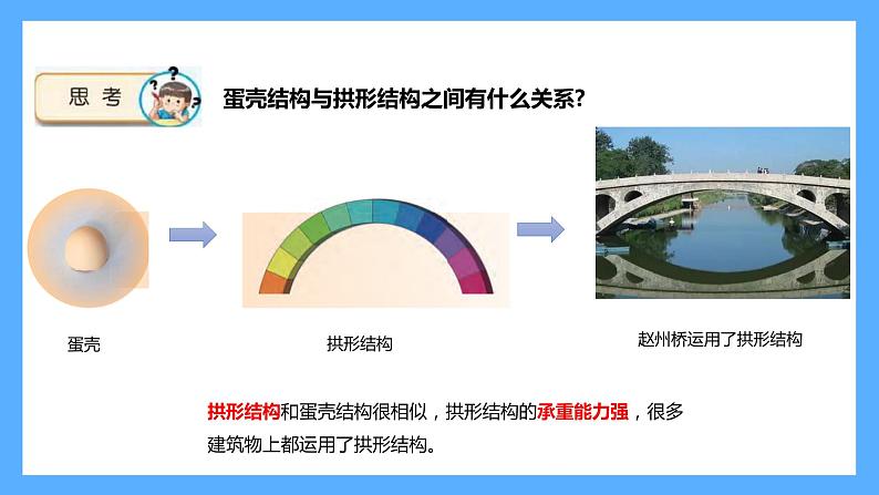 苏教版科学五年级下册 6 蛋壳与薄壳结构课件第5页