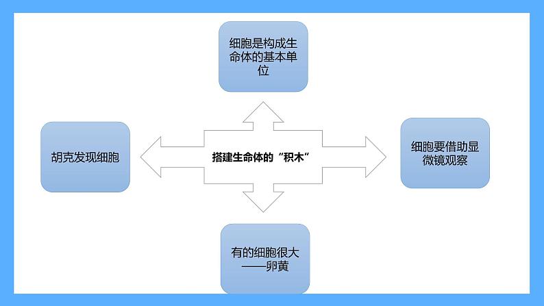 苏教版科学五年级下册 第一单元复习第3页