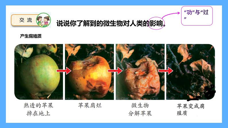 苏教版科学五年级下册 4 微生物”功“与”过“课件03