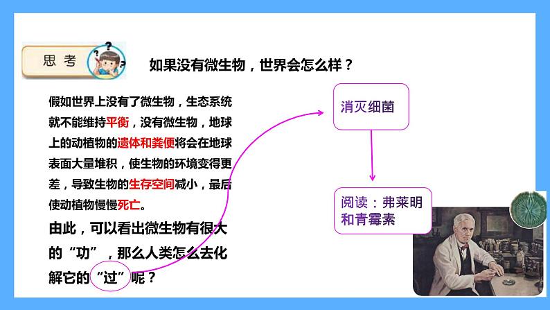 苏教版科学五年级下册 4 微生物”功“与”过“课件04