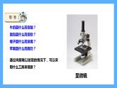 蘇教版科學(xué)五年級(jí)下冊(cè) 1 搭建生命體的“積木課件