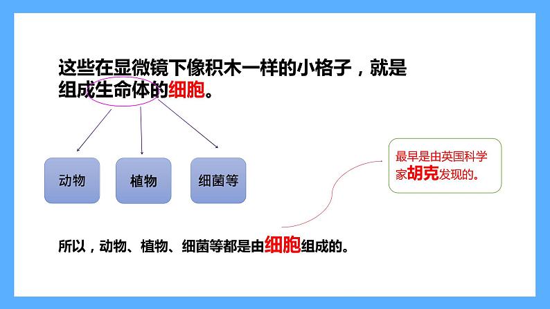 苏教版科学五年级下册 1 搭建生命体的“积木课件05