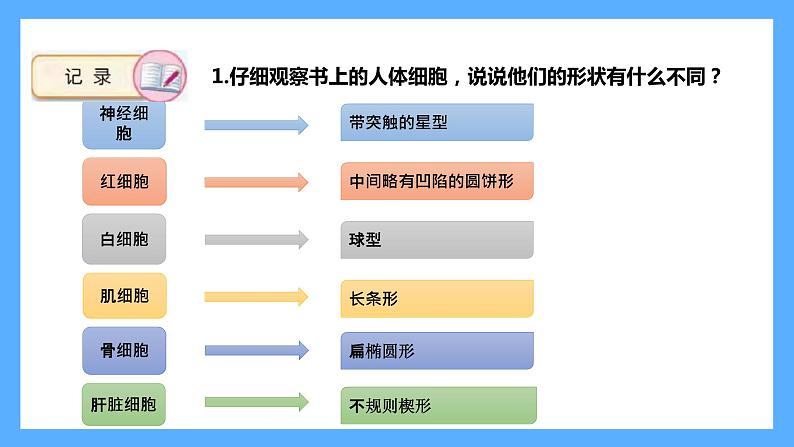 苏教版科学五年级下册 1 搭建生命体的“积木课件08