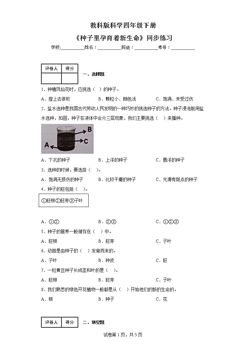 教科版科学四年级下册1.《种子里孕育新生命》课件ppt（送教案+练习）01