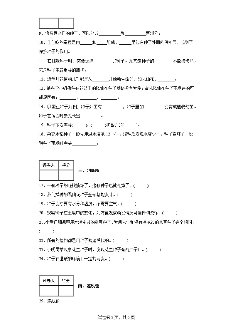 教科版科学四年级下册1.《种子里孕育新生命》课件ppt（送教案+练习）02