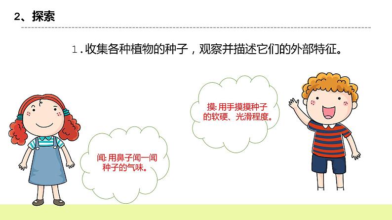 教科版科学四年级下册1.《种子里孕育新生命》课件ppt（送教案+练习）05