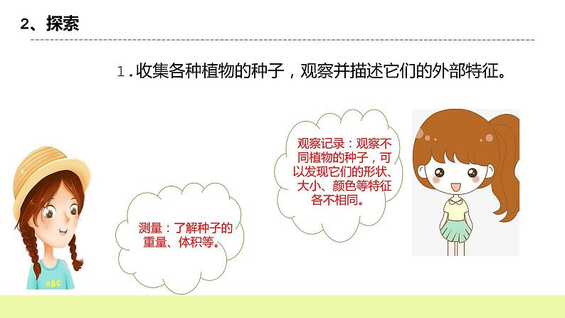 教科版科学四年级下册1.《种子里孕育新生命》课件ppt（送教案+练习）06