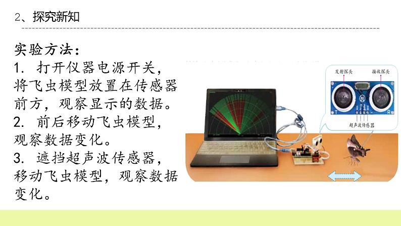 六年级下册冀人版科学第7课 《蝙蝠与雷达》课件PPT+教案08