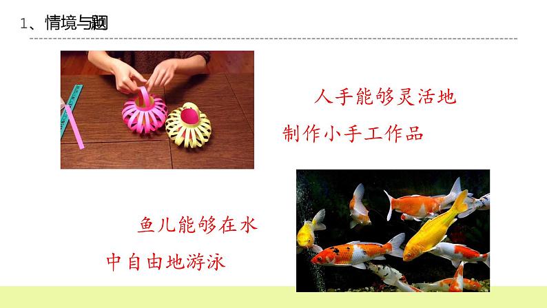 六年级下册冀人版科学第8课 《生物的启示》课件第3页